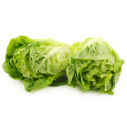 Little Gem Lettuce