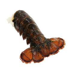 Coldwater Lobster Tail Frozen
