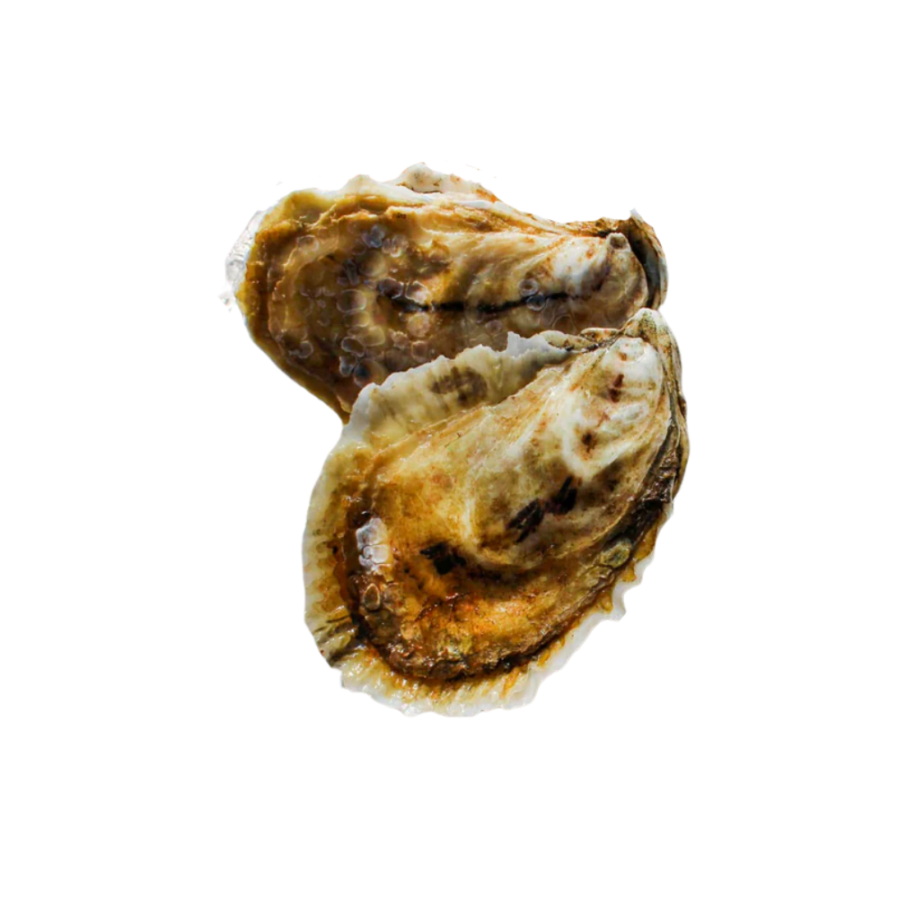 Beach Plum Oysters