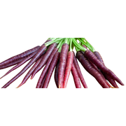 Bunched Purple Carrots