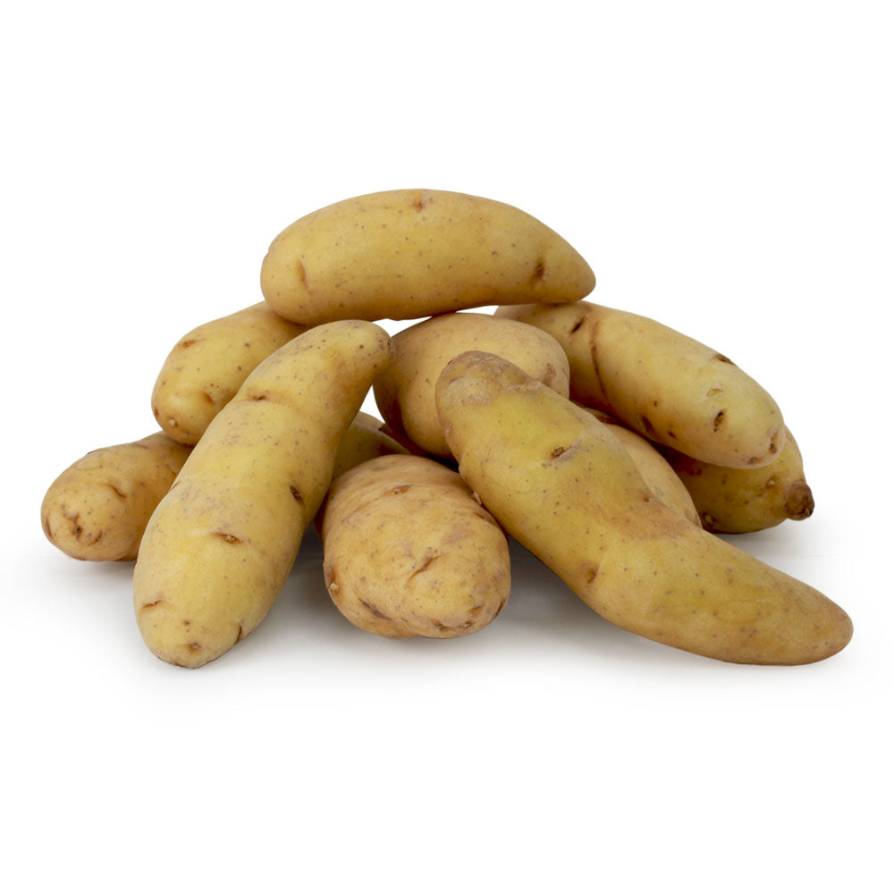 POTATO FINGERLNG RUSS BAN 10LB