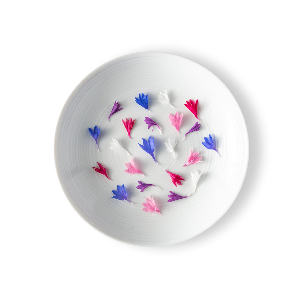 Micro Bachelor's Button Blue Florets