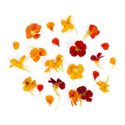 Nasturtium Flowers