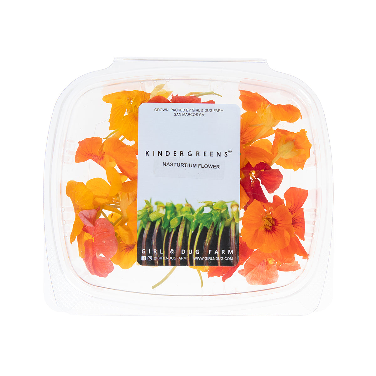 Nasturtium Flowers
