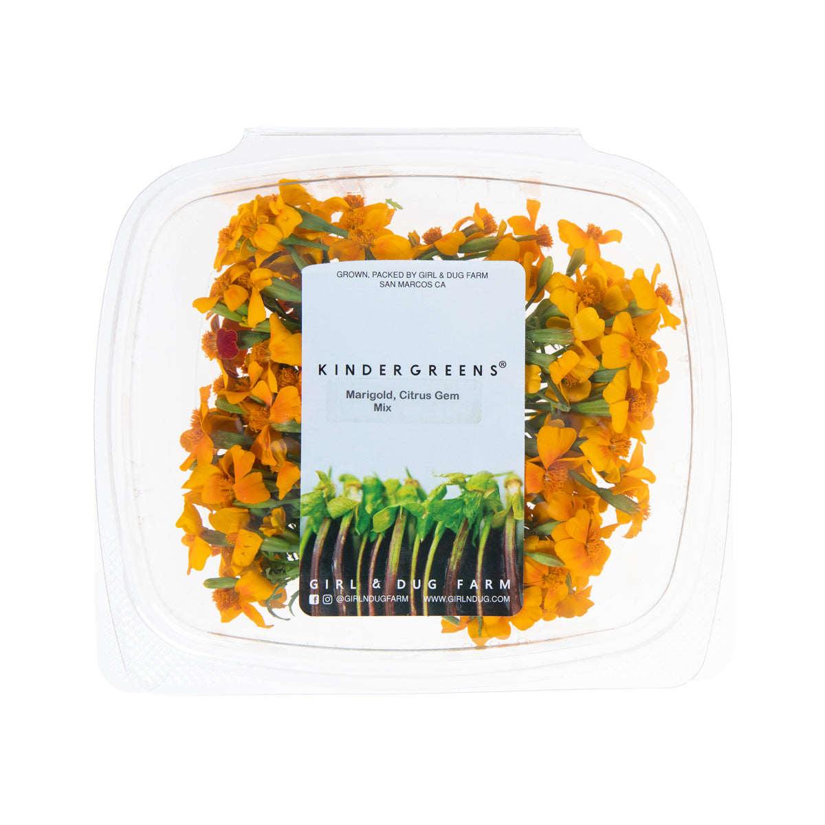 Citrus Gem Marigold Flowers