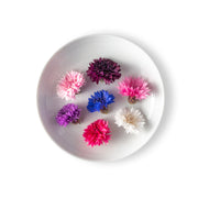 Bachelor's Buttons