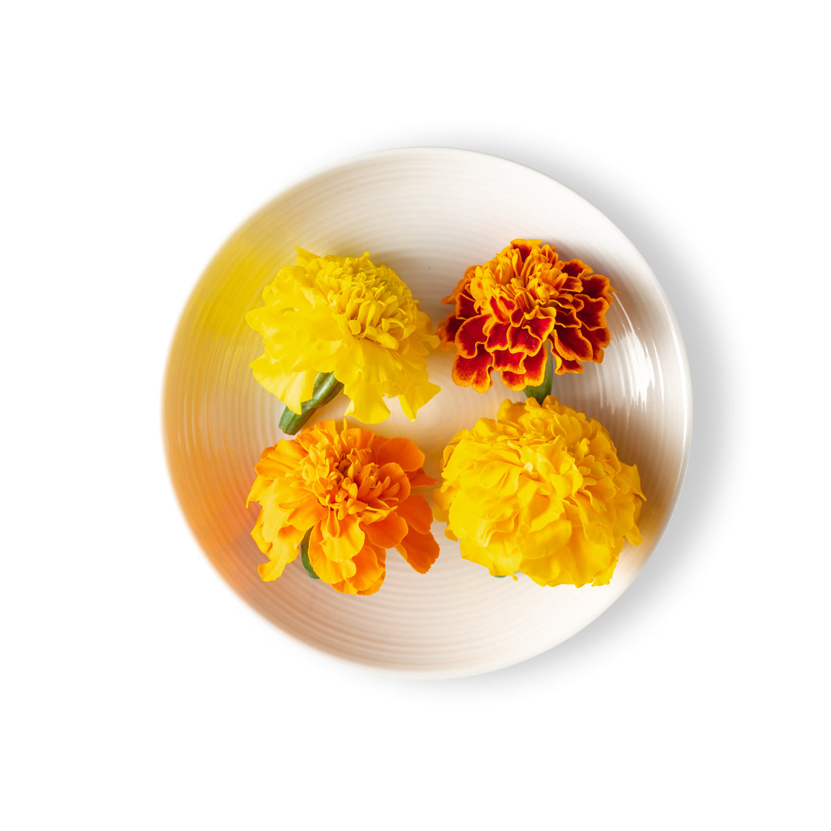 Marigold Flowers