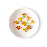 Micro Marigold Flowers