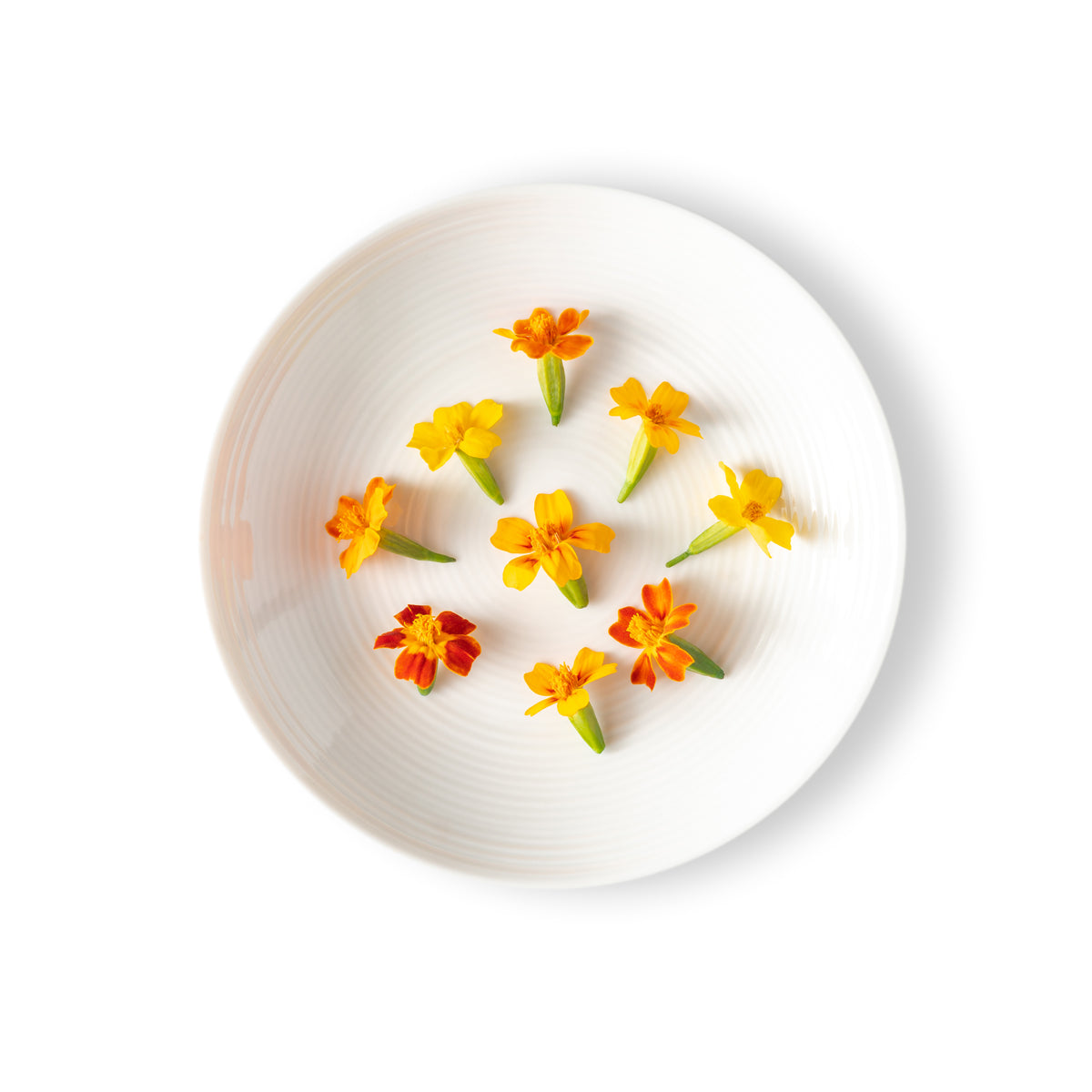 Micro Marigold Flowers