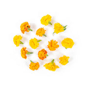 Marigold Flowers