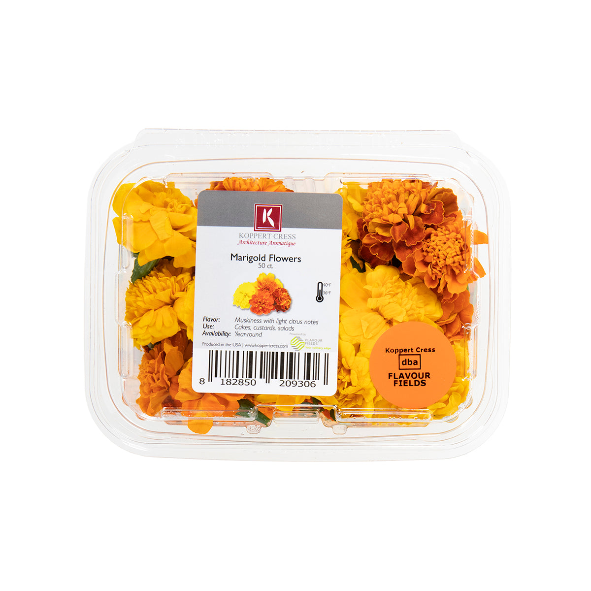 Marigold Flowers