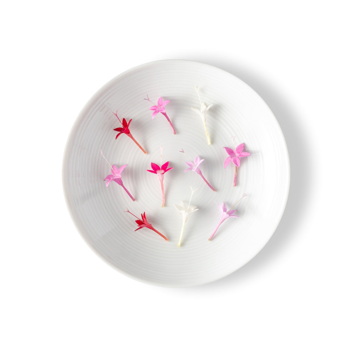Micro Star Flowers