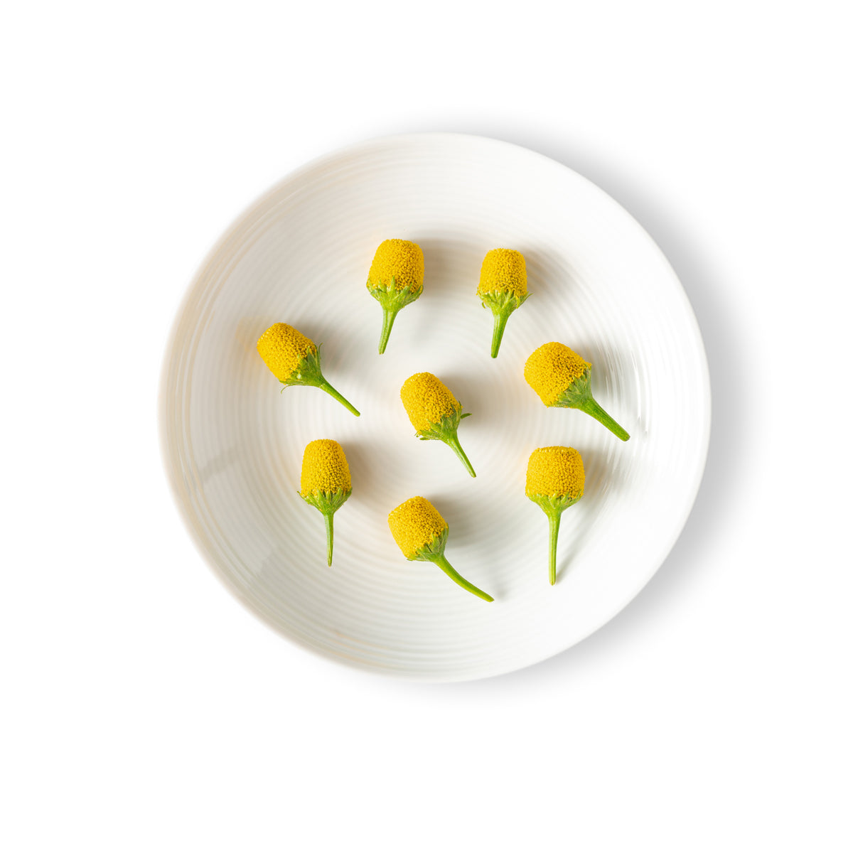 Buzz Buttons