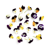 Viola Cornabria Flowers