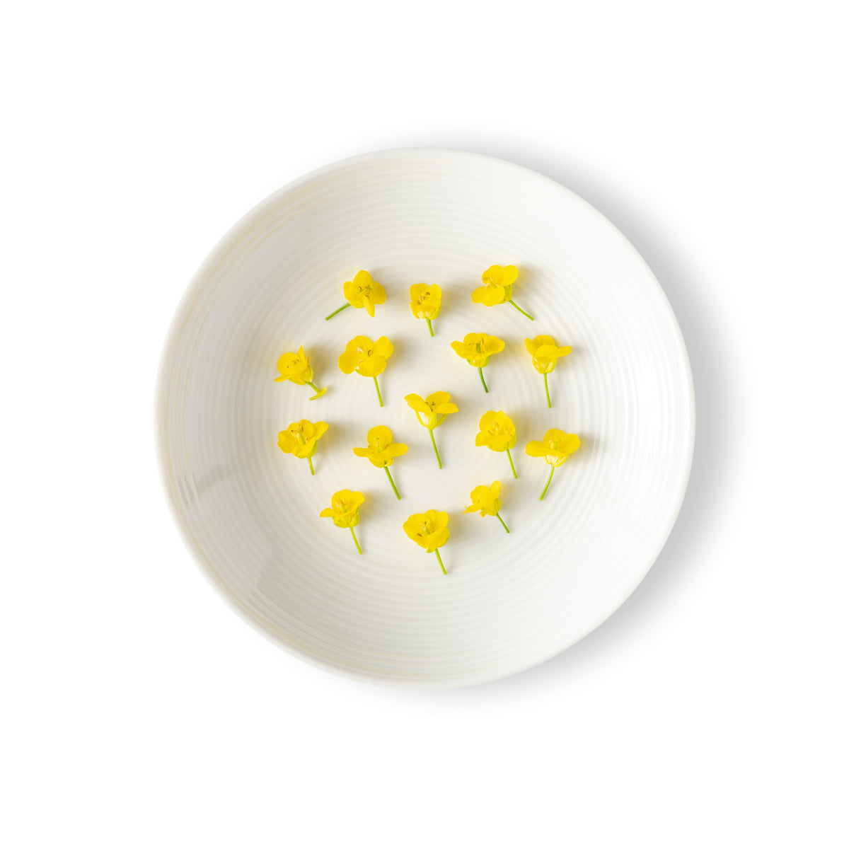 Mustard Flowers