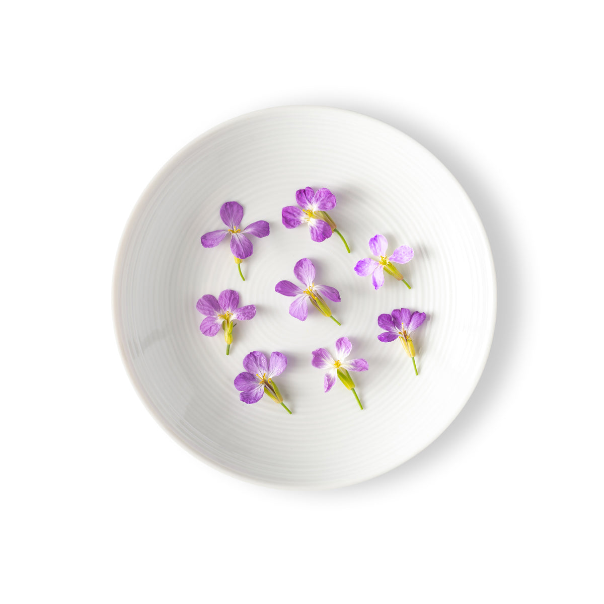Radish Flowers