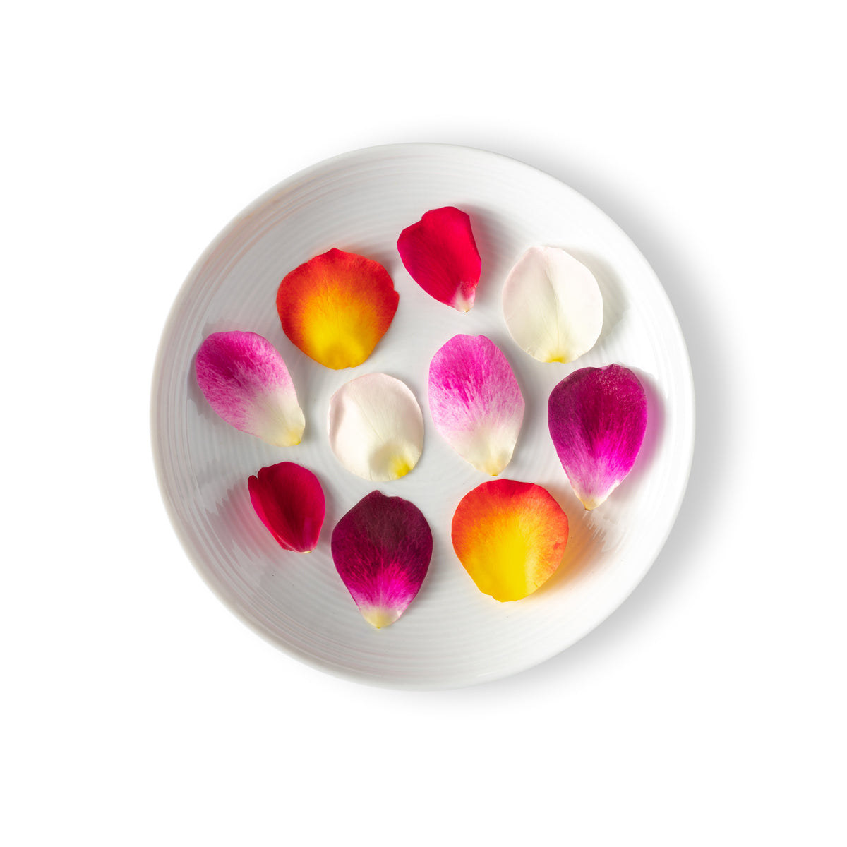 Multi Colored Rose Petals