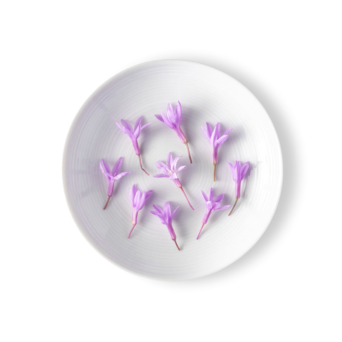 Garlic Flowers