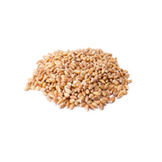 Wheatberries