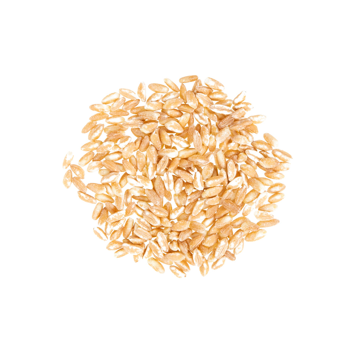 Farro