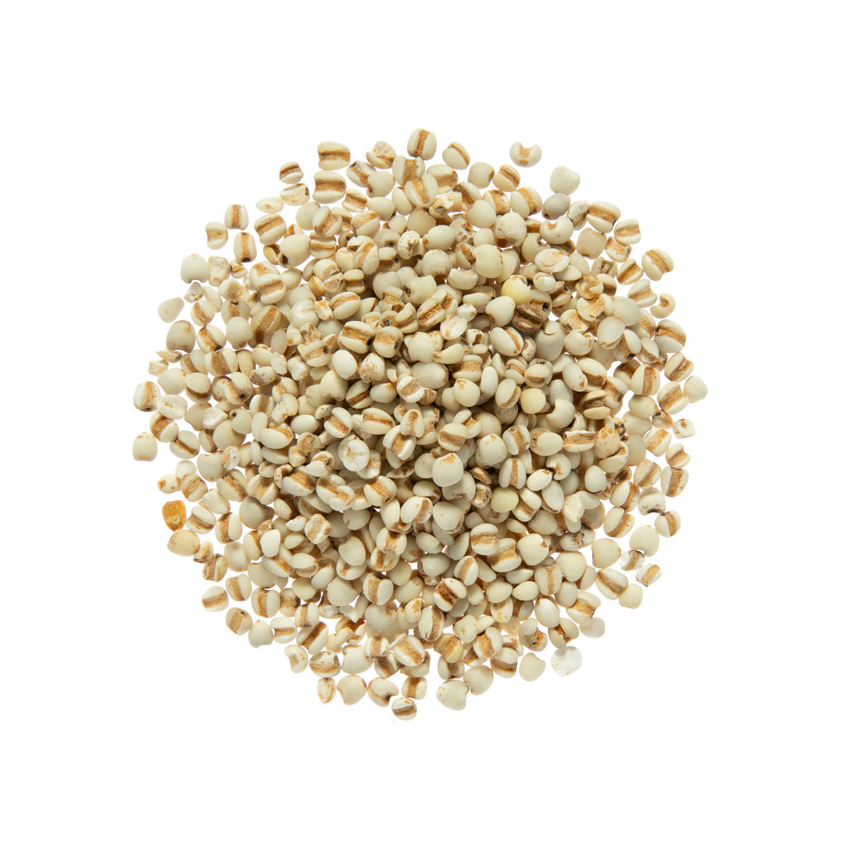 Organic Job's Tears Asian Barley