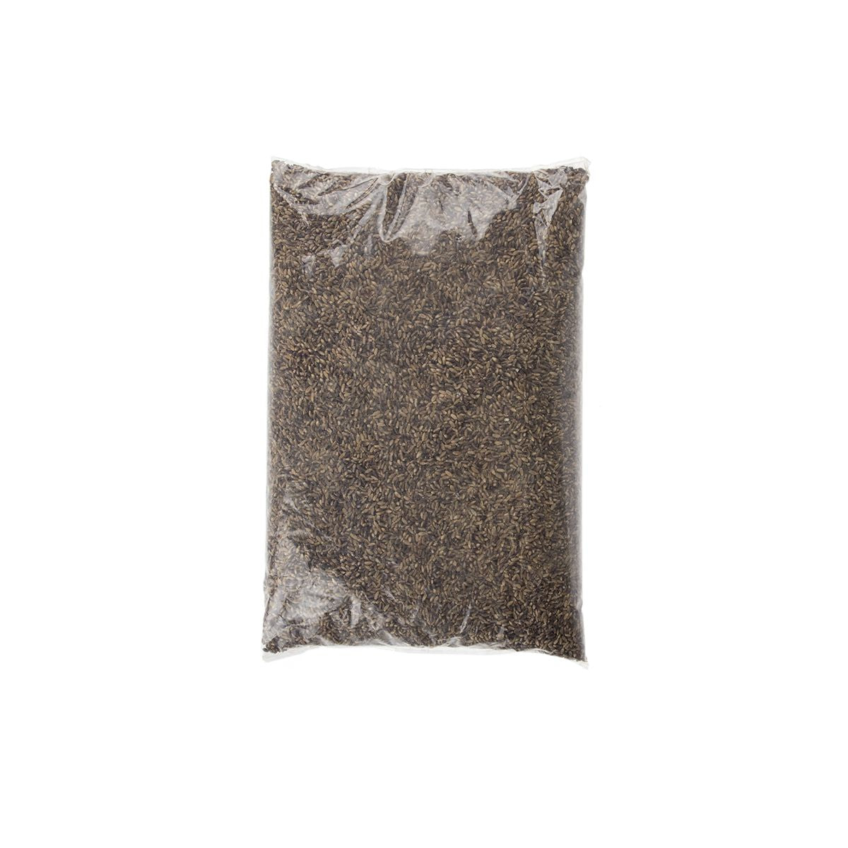 Black Barley