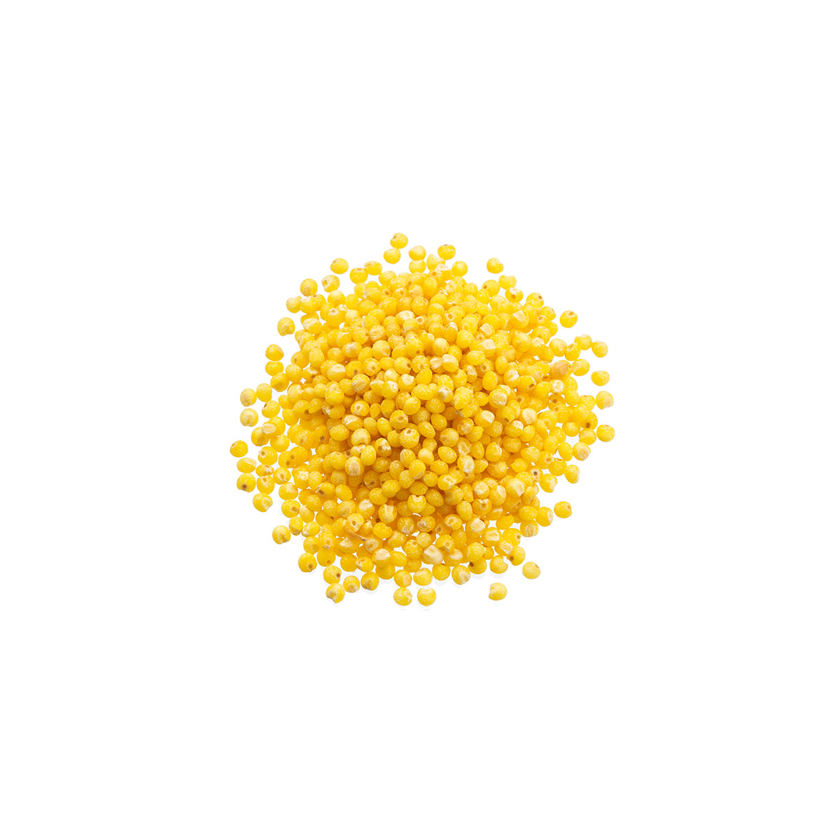 Organic Millet Seeds