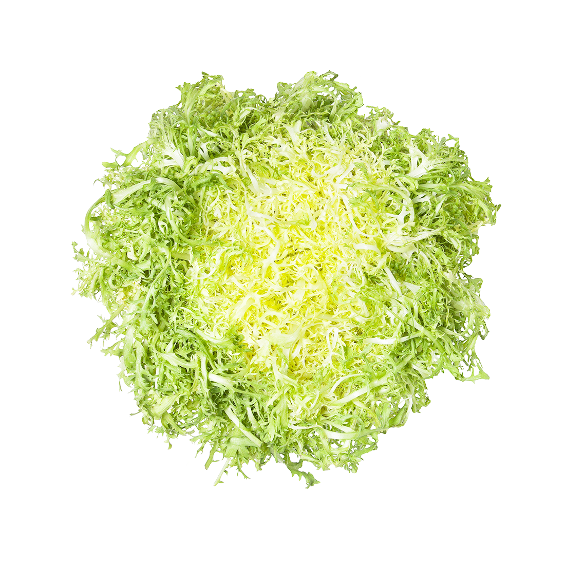 Blanched Frisee