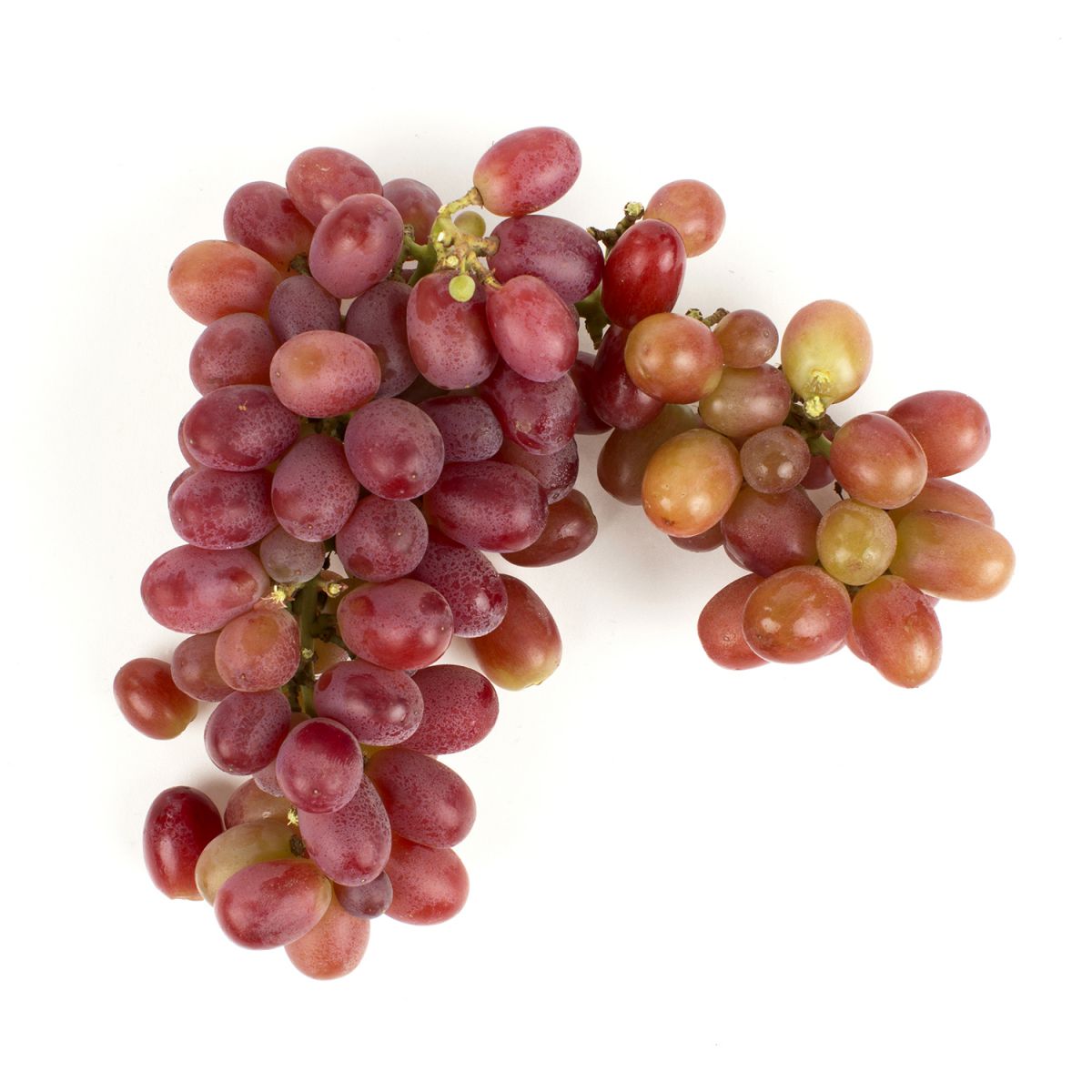 Red Seedless Grapes