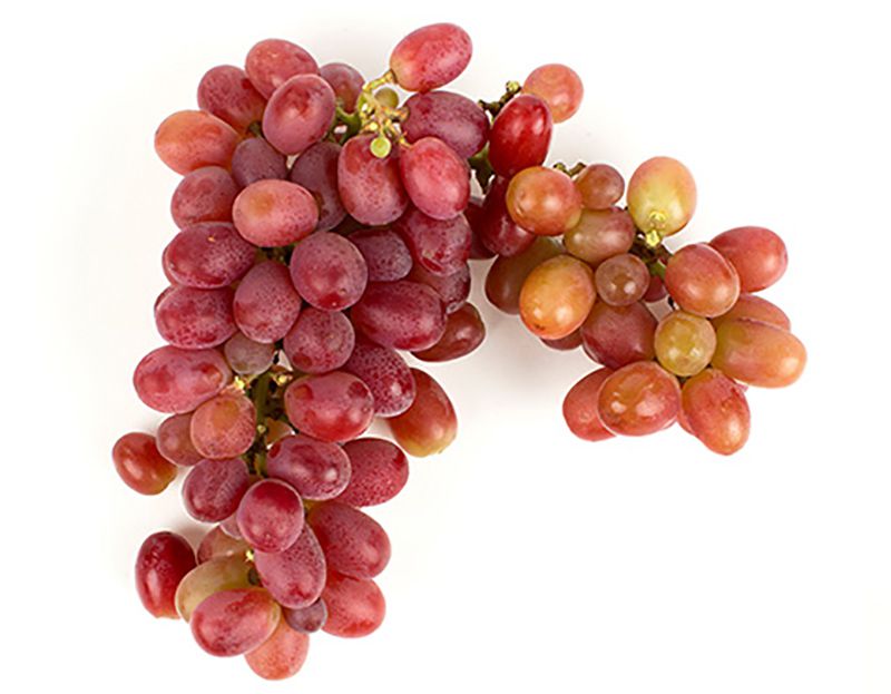 Jumbo Premium Gem Red Seedless Grapes