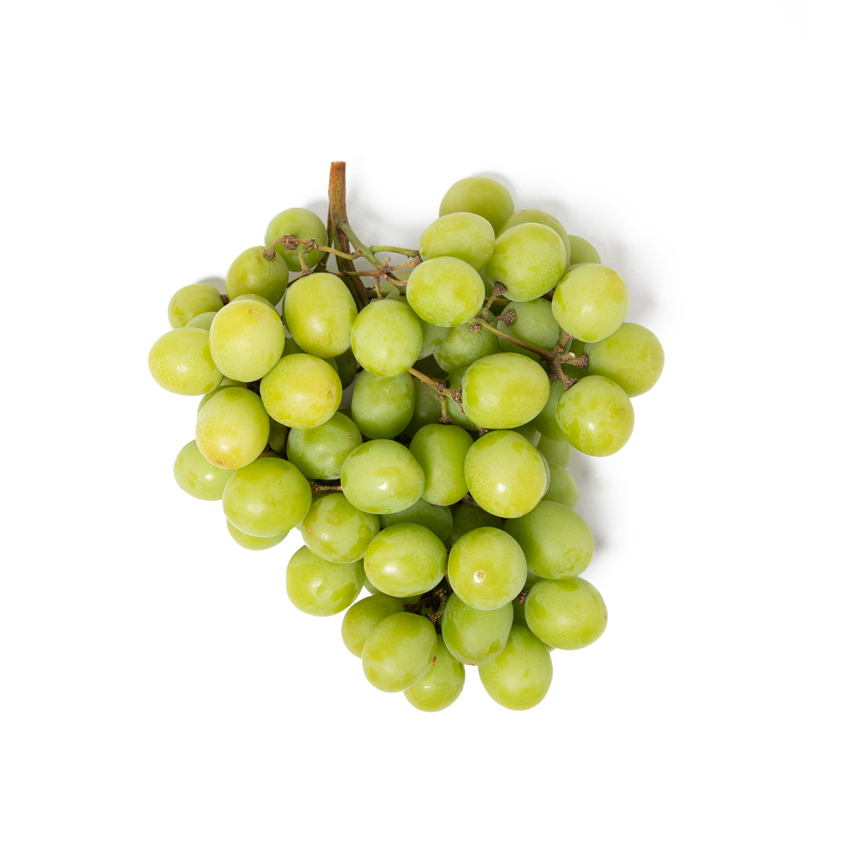 Jumbo Premium Stella Bella Green Seedless Grapes