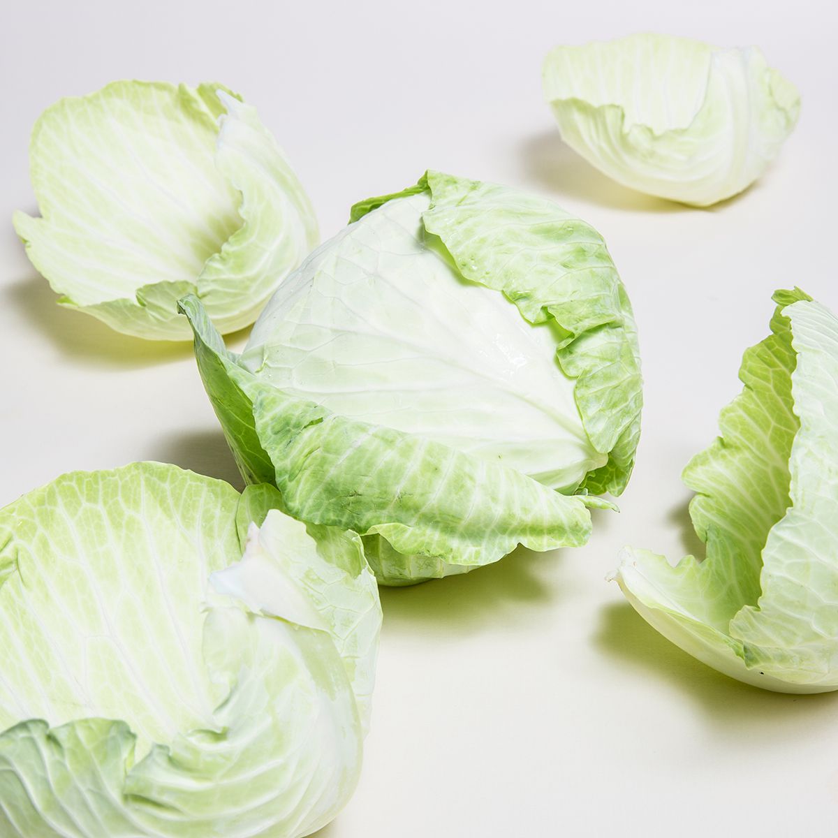 Green Cabbage