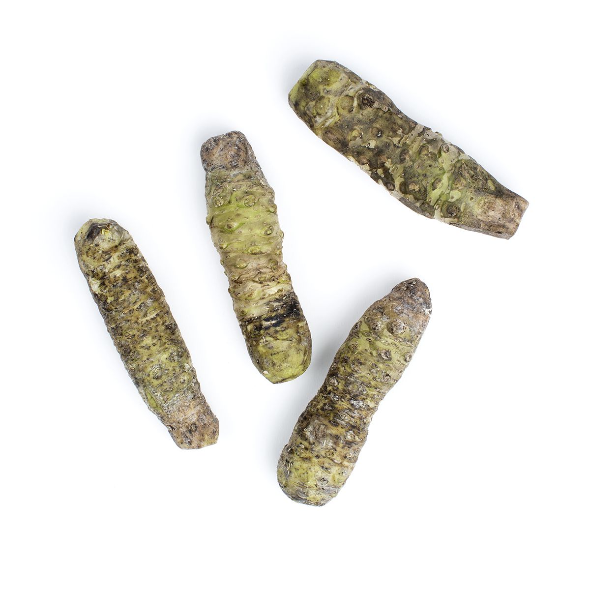 Fresh Wasabi Root