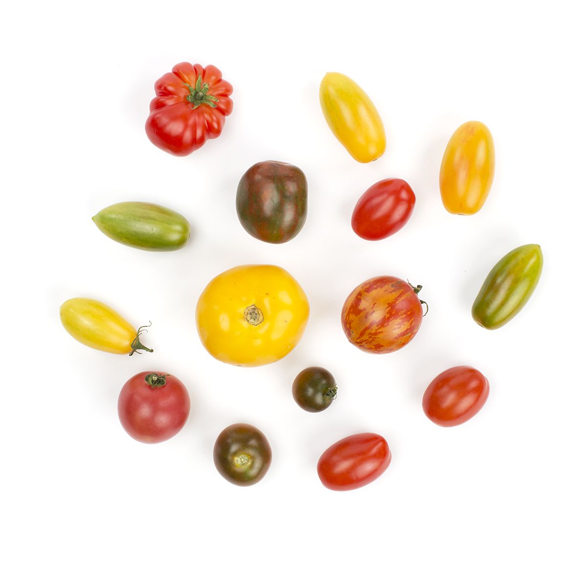 Medium Heirloom Tomatoes
