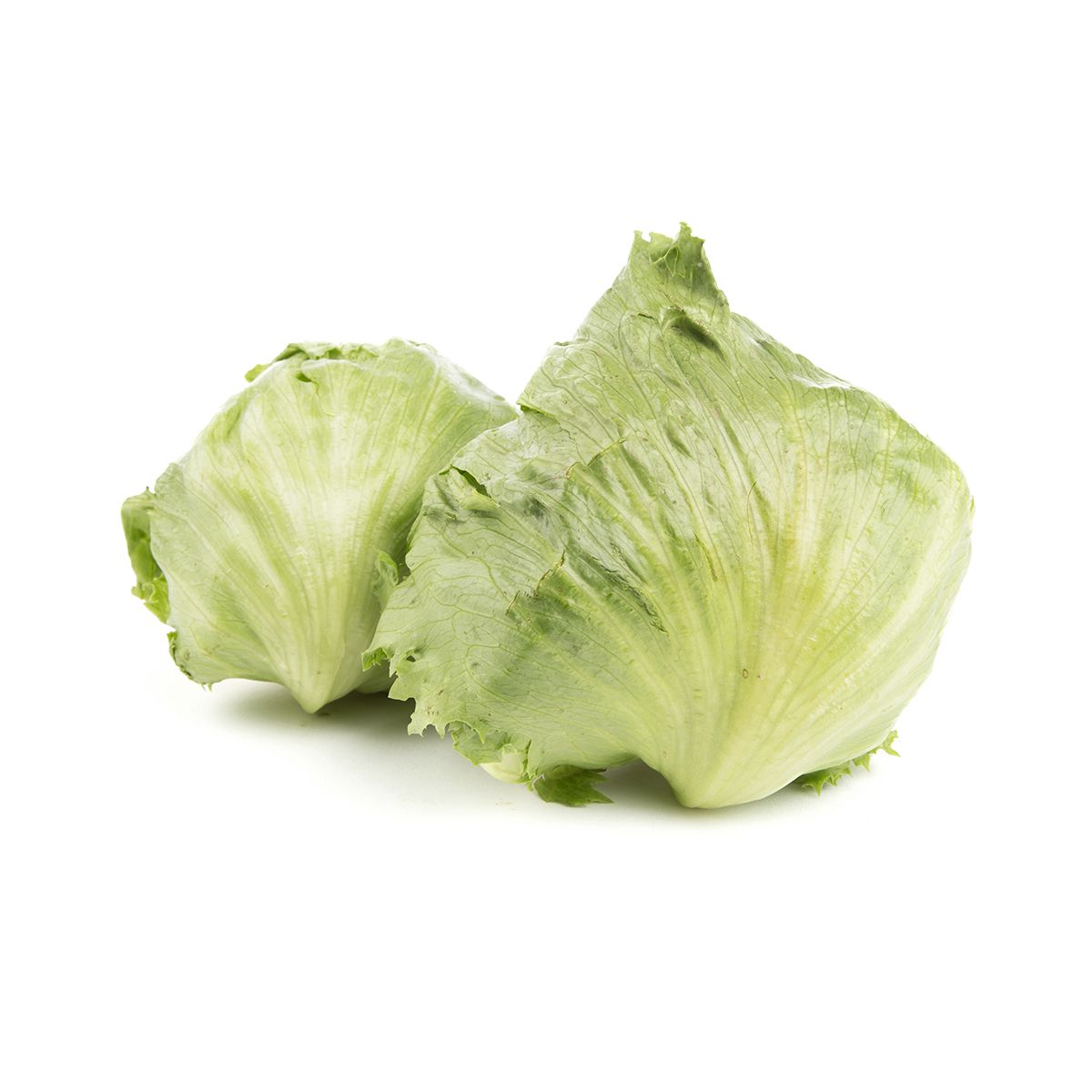 Garden Heart Baby Iceberg Lettuce