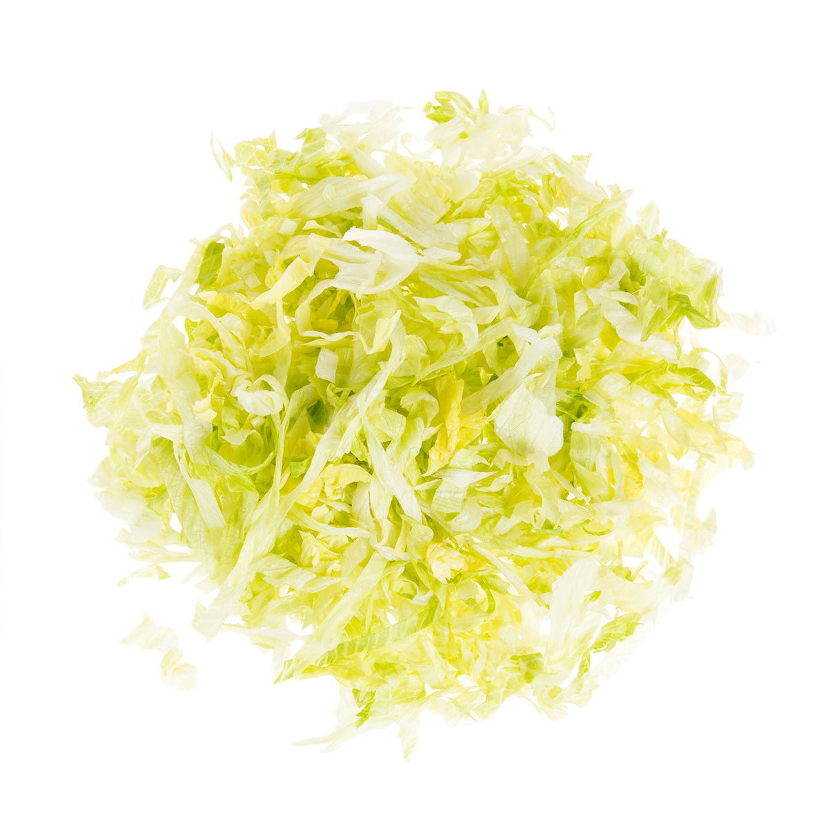 Shredded Iceberg Lettuce