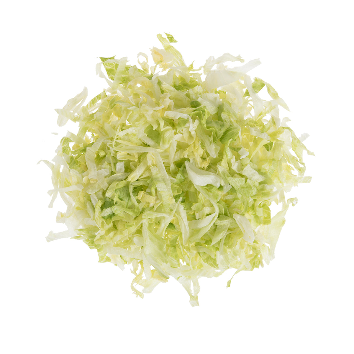 Shredded Iceberg Lettuce