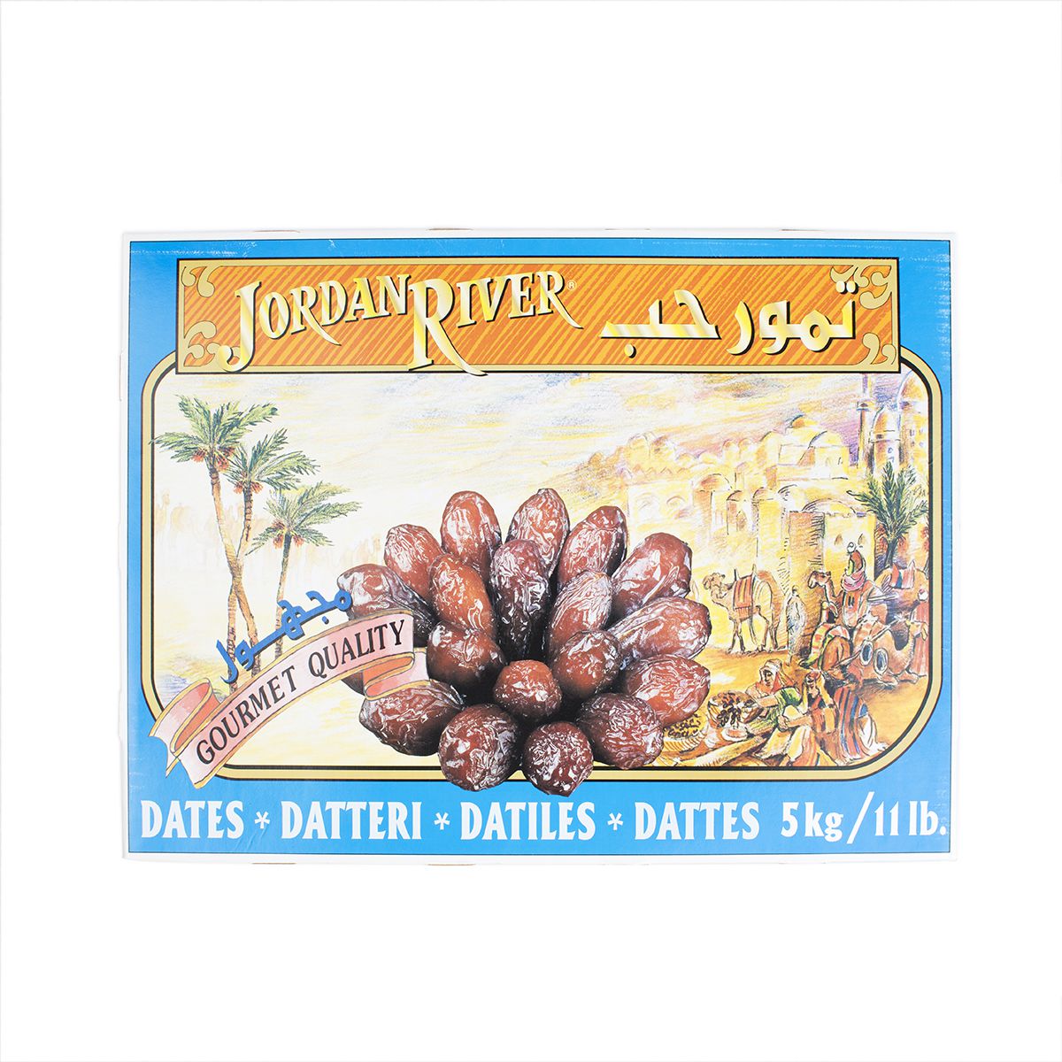 Large Medjool Dates