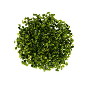 1/4in Diced Poblano Peppers