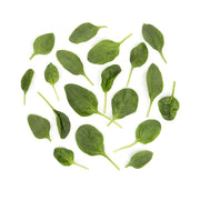 Washed Flat-Leaf Spinach