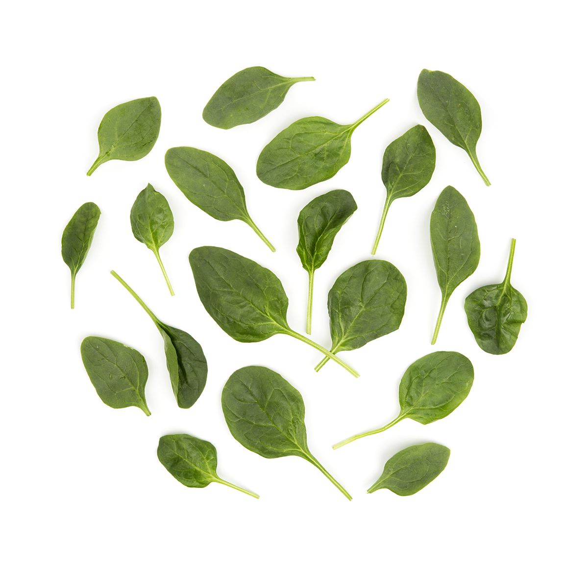 Washed Flat-Leaf Spinach