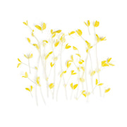 Gold Pea Shoots