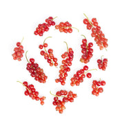 Local Red Currants