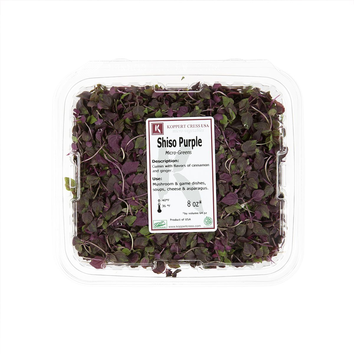 Micro Purple Shiso