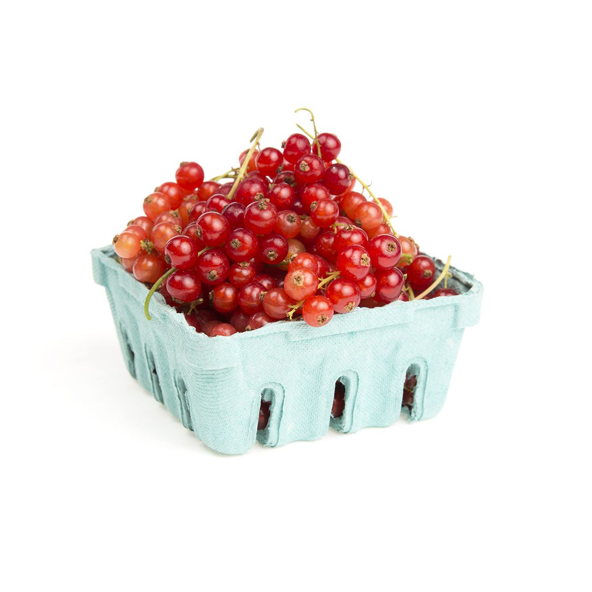 Local Red Currants