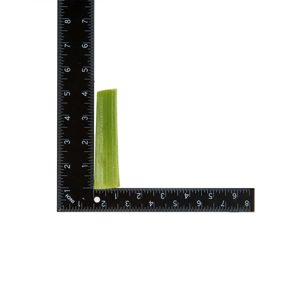 4in Celery Sticks