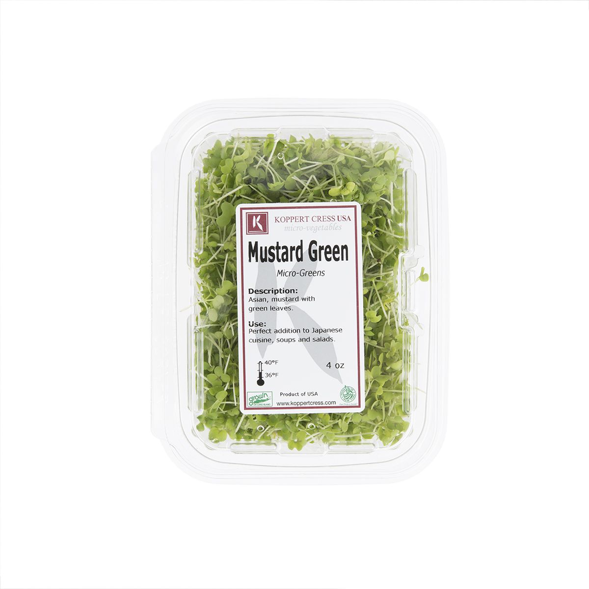 Micro Green Mustard