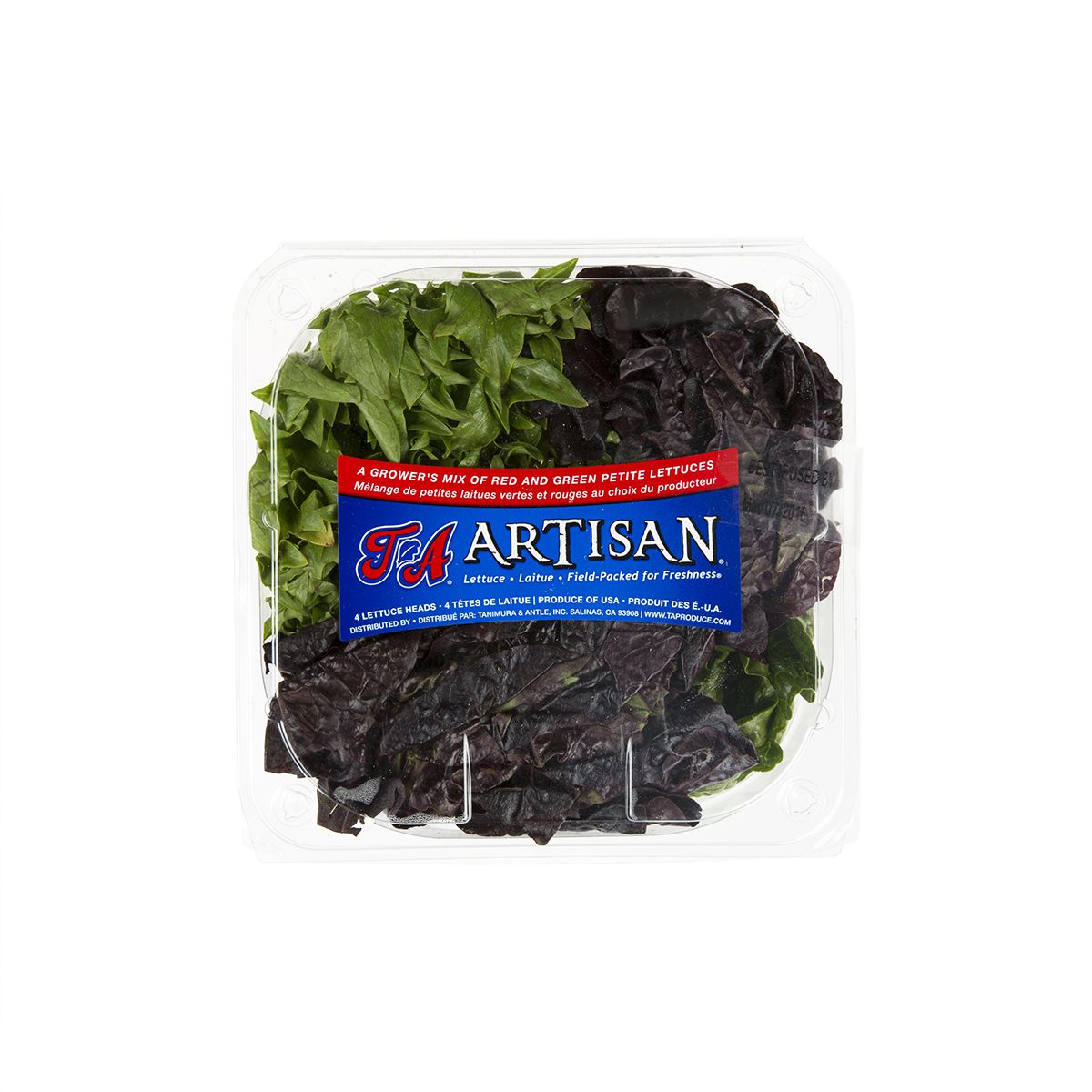 Artisan Mini Head Lettuce