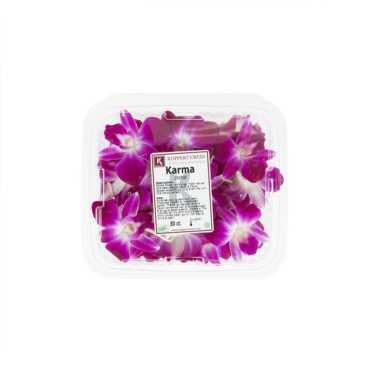 Purple Orchids