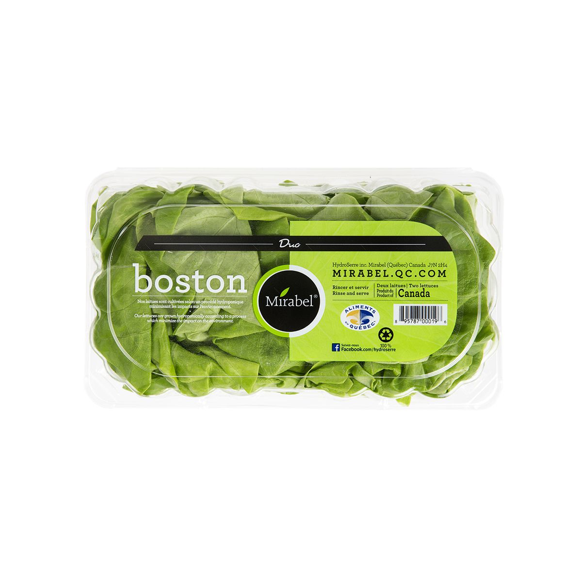 Hydro Boston Duo Clamshell
